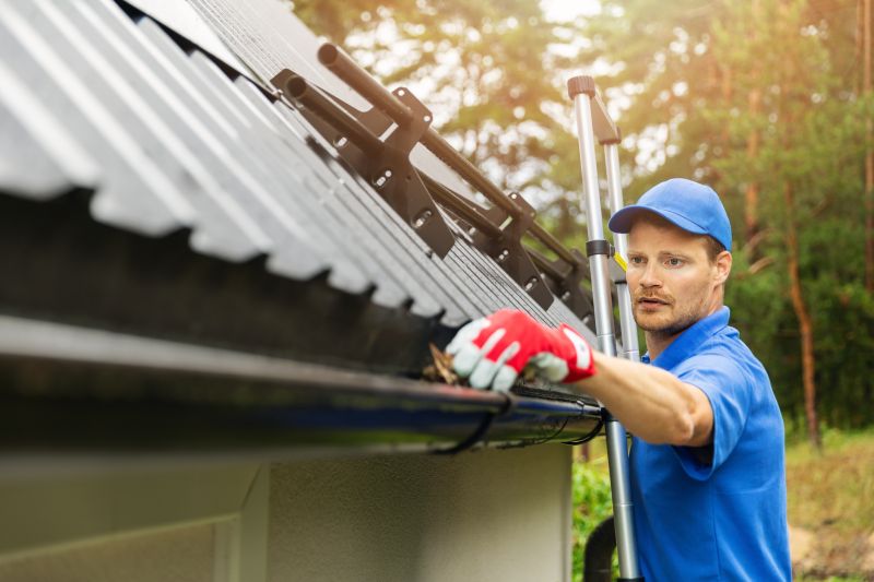 Local Gutter Maintenance